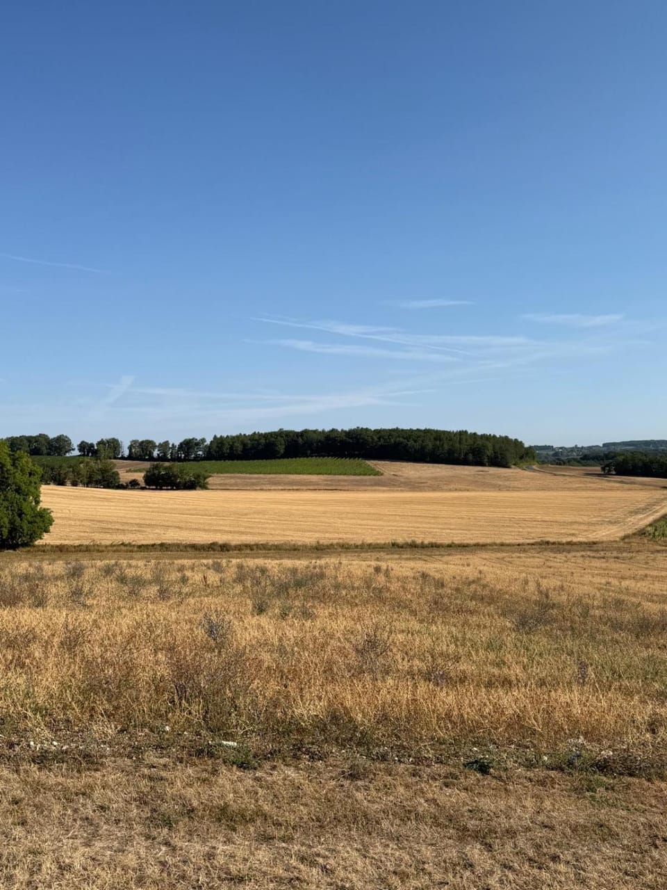 Maison de charme au coeur des vignes House in Nouvelle-Aquitaine