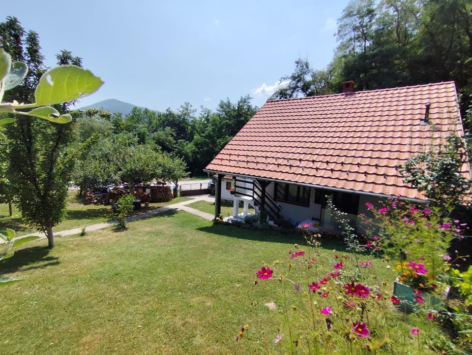 Property building, Spring, Day, Garden, Garden view
