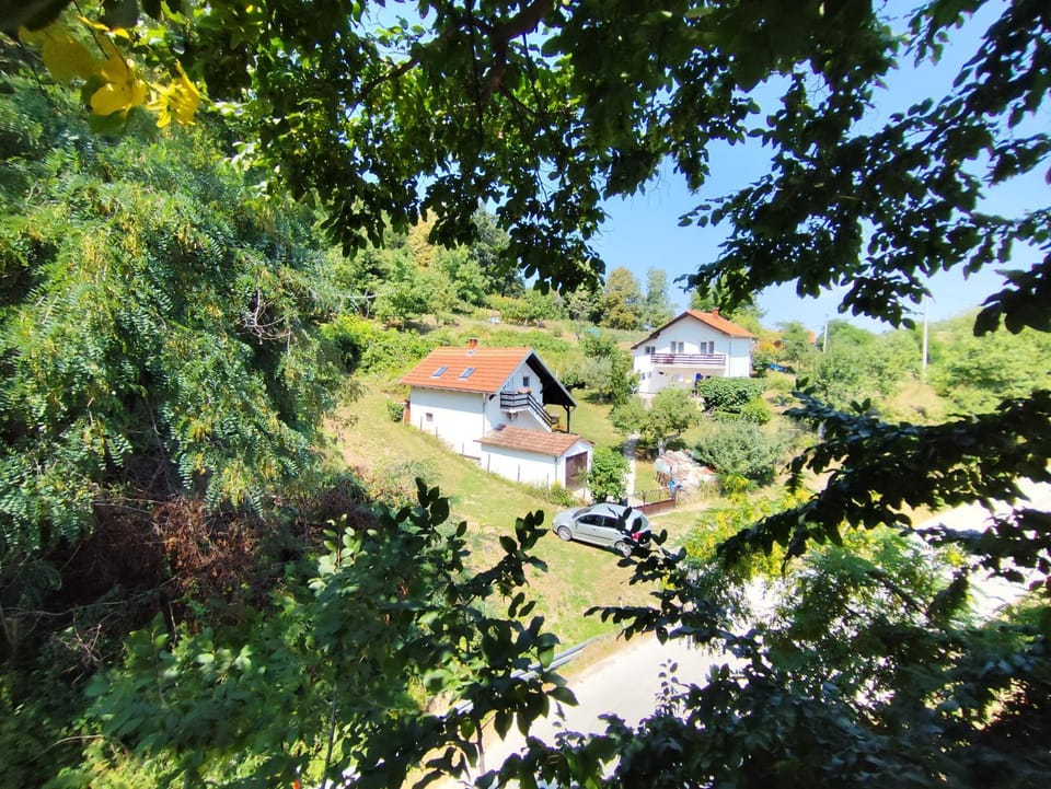 Spring, Day, Garden, Garden view