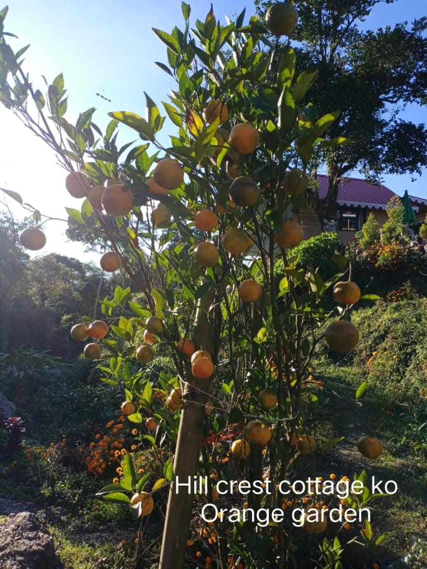 Golden View Homestay Sittong Vacation rental in West Bengal