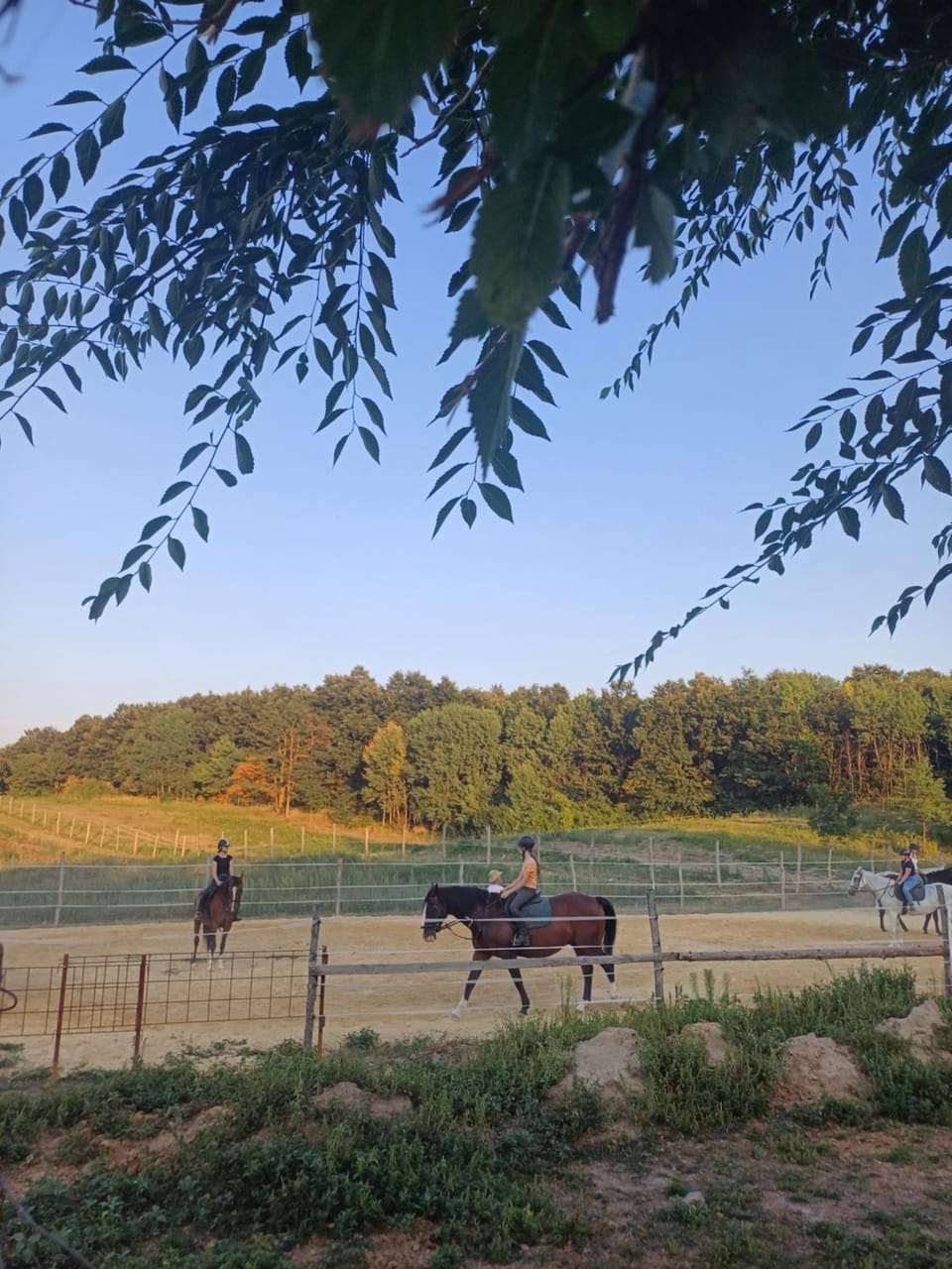 Horse-riding