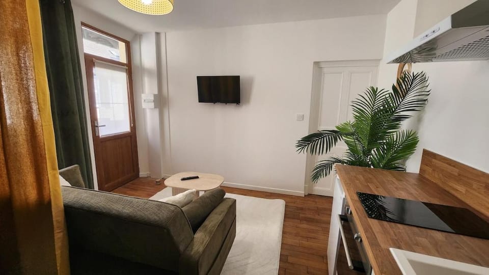 Cocon tropical avec balneo pres du centre d Autun Apartment in Autun
