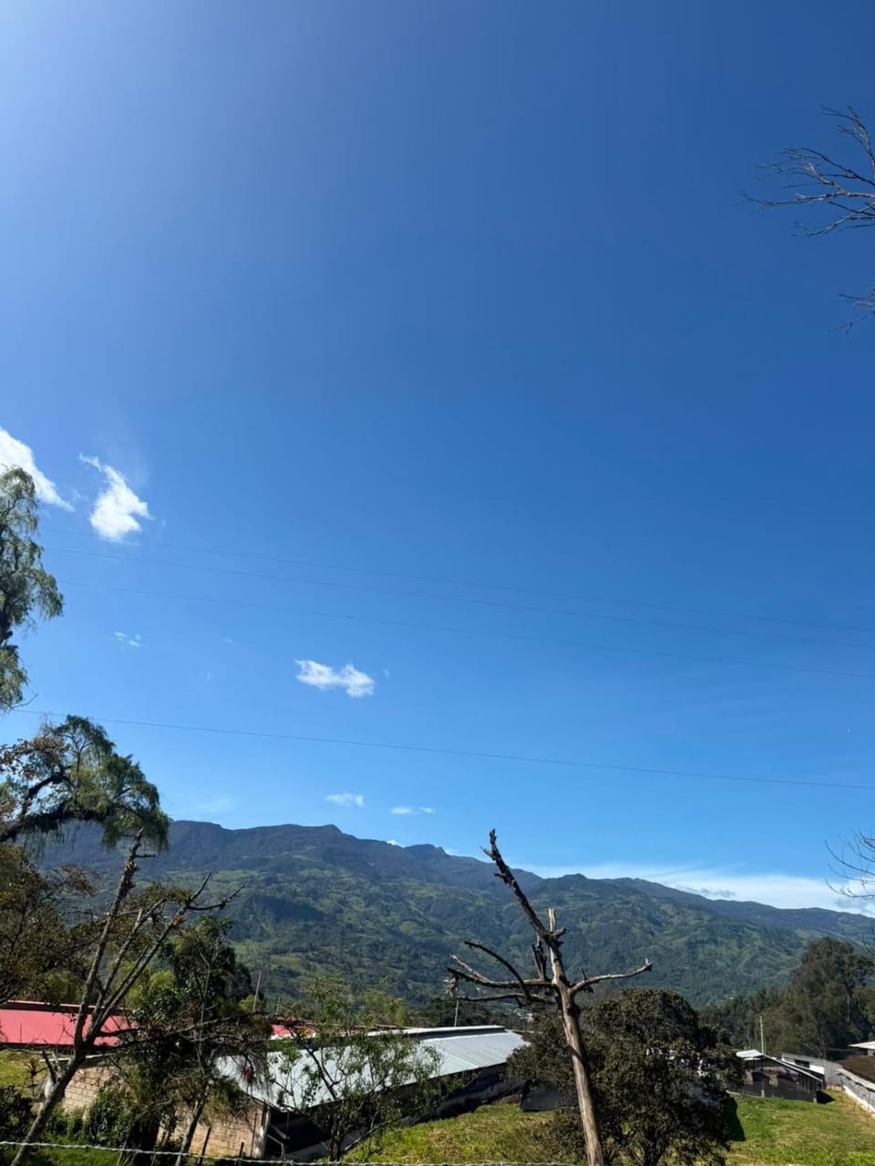 Mountain view
