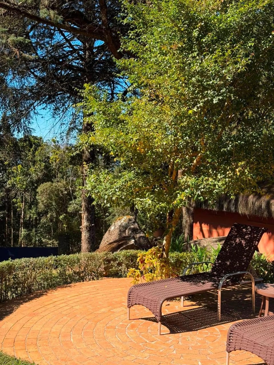 Garden, Garden view