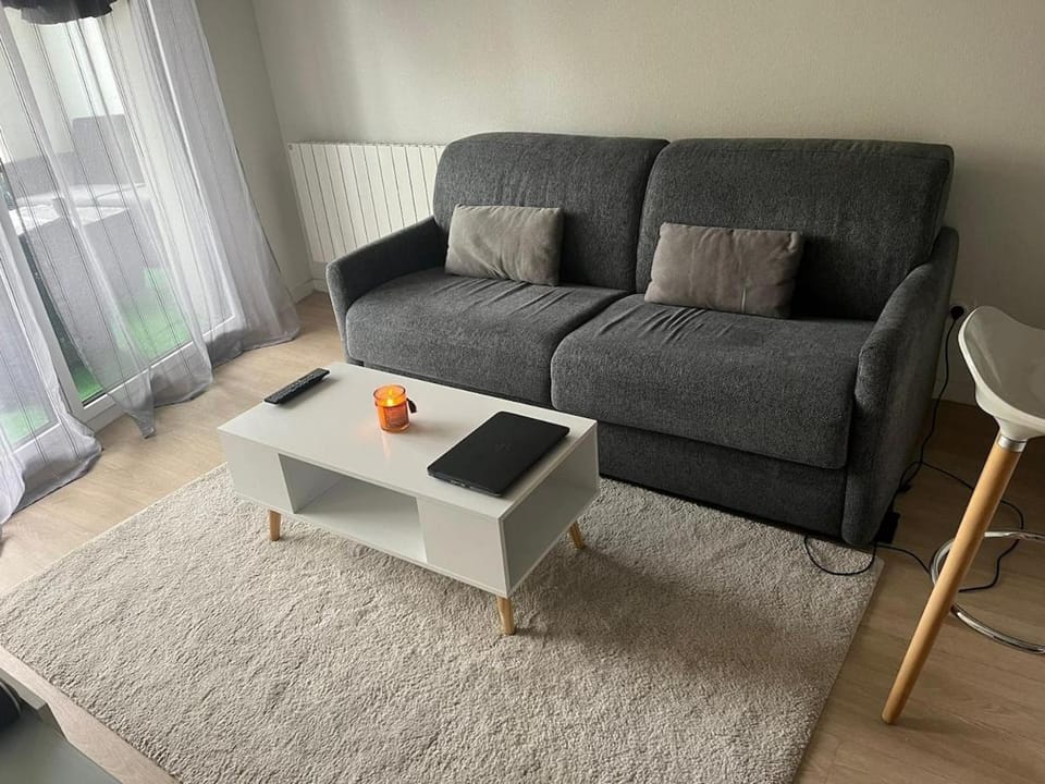 Agréable T2 avec un grand blacon Apartment in Villeurbanne