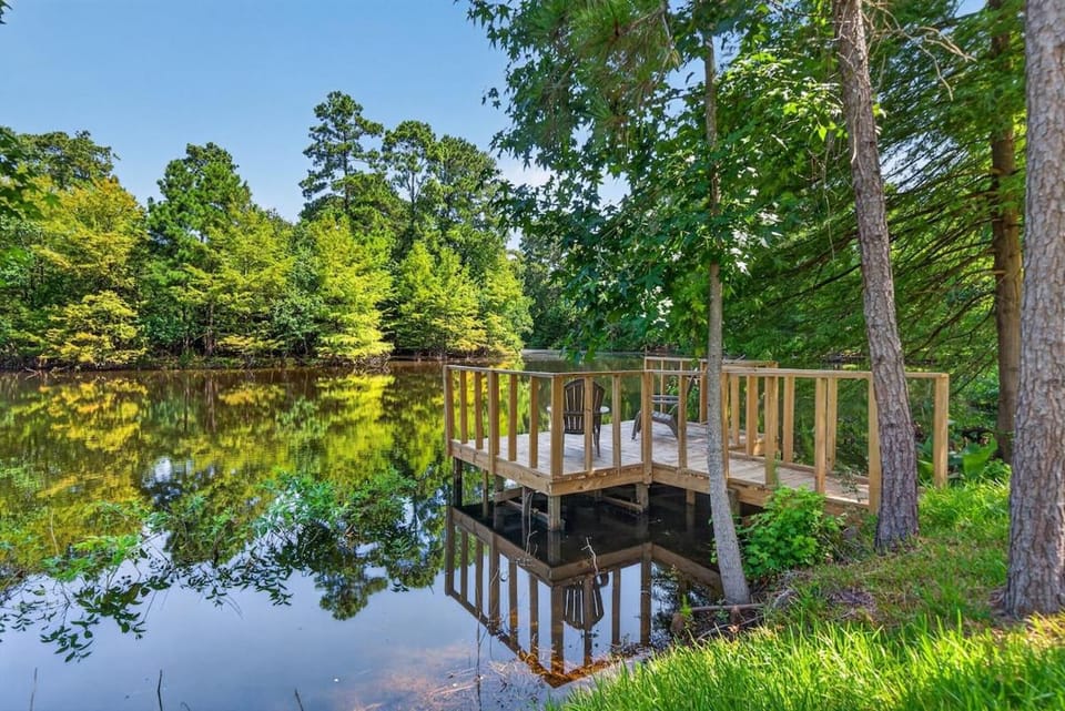 Lakefront Retreat by The Woodlands with Dock House in Shenandoah