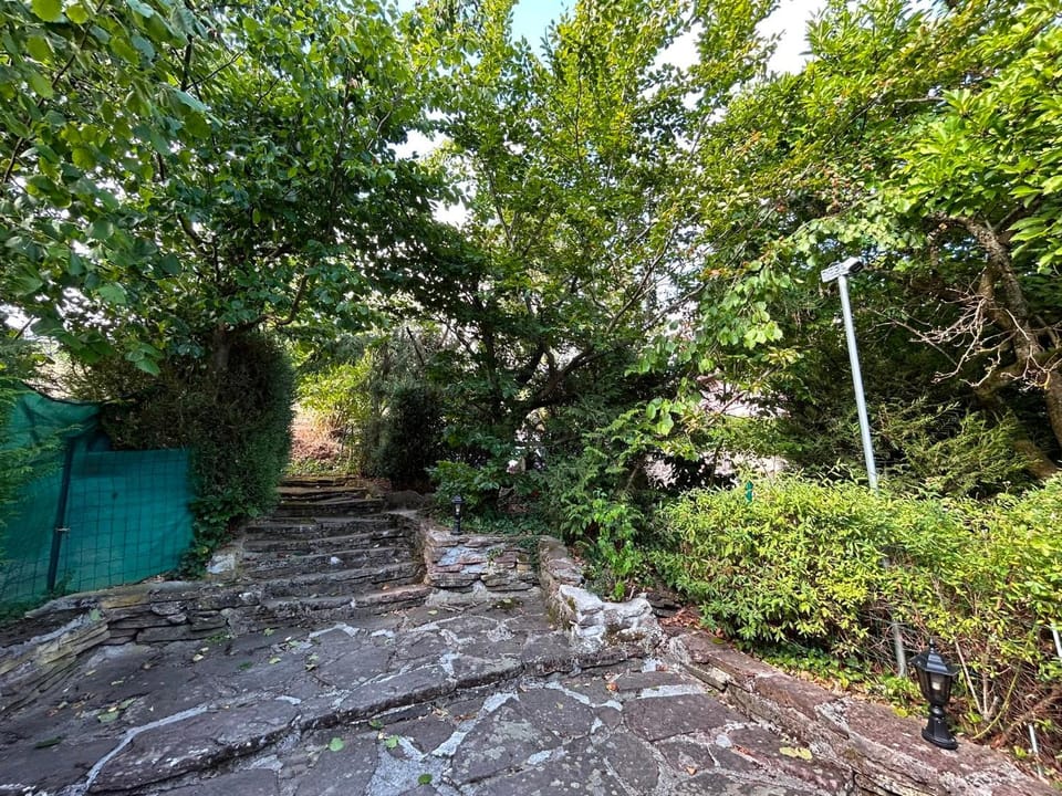 Charmant appartement avec jardin privé Apartment in Grand Est