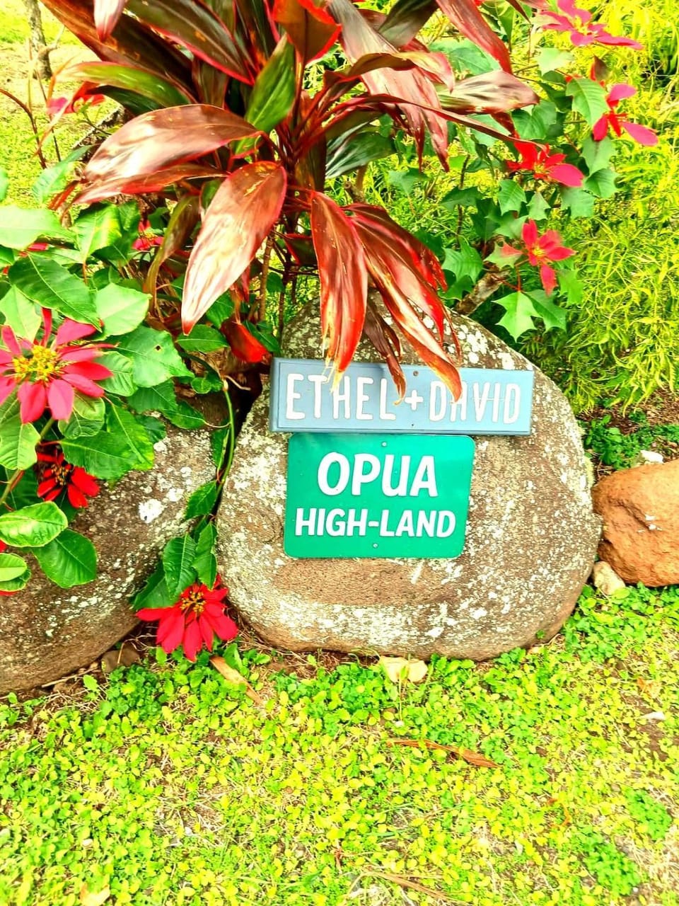 Opua Highland, Hillside Ocean View Retreat House in Arorangi District