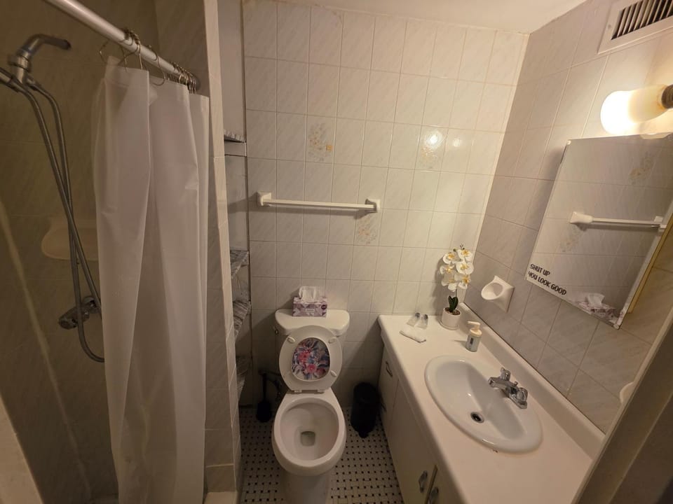 Shower, Toilet, Bathroom, towels