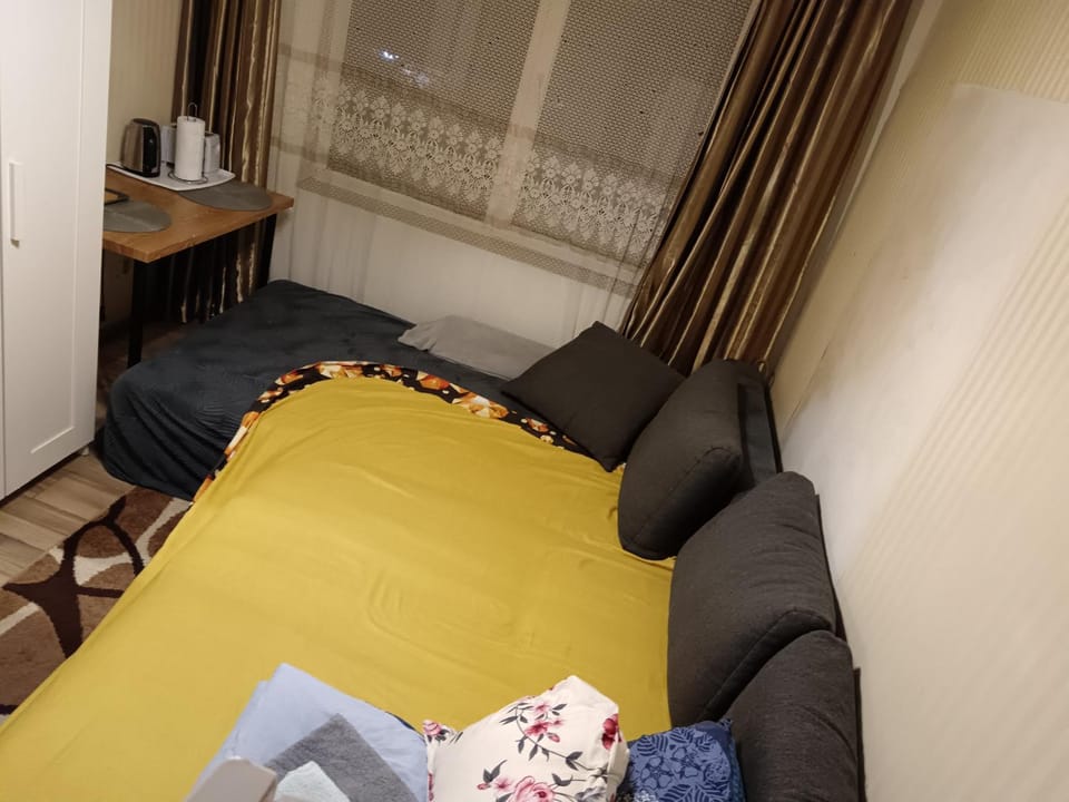 Bed, Living room, Photo of the whole room, Seating area, Bedroom