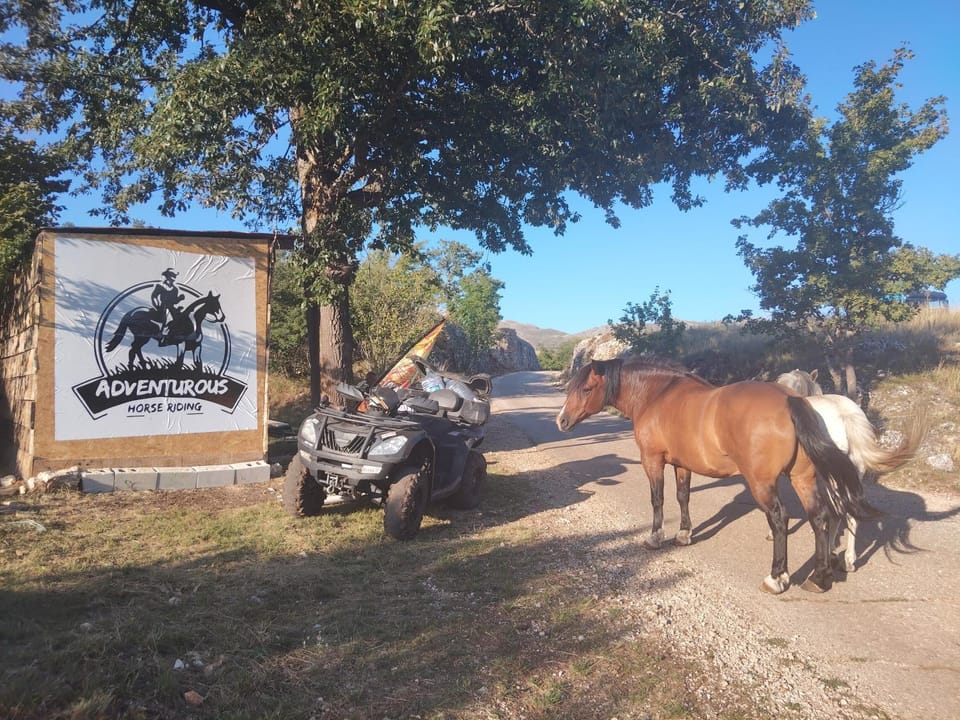 Auto camp - Rest area - seosko domacinstvo Pejovic Campground/ 
RV Resort in Montenegro