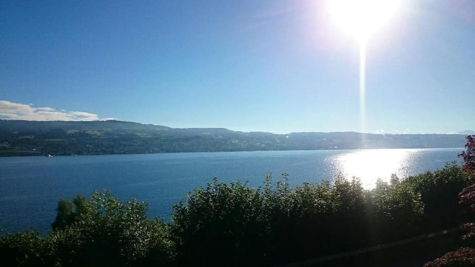 Mansion at the lake, Pool, Sauna and Boat Villa in Canton of Zurich