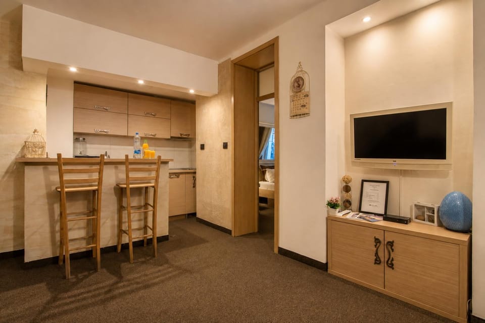 TV and multimedia, Kitchen or kitchenette, minibar, oven, pet friendly