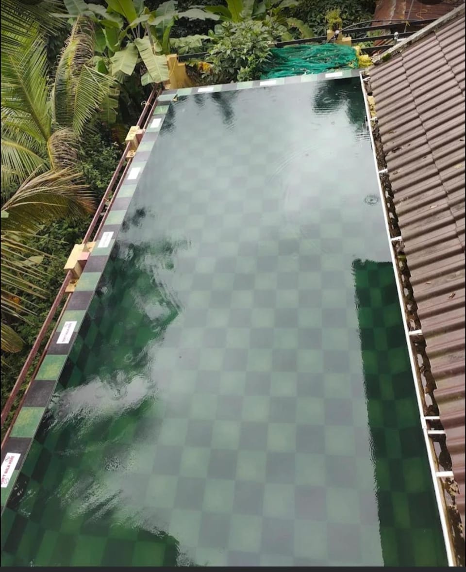 Sierra Vista Stay Bed and Breakfast in Kerala