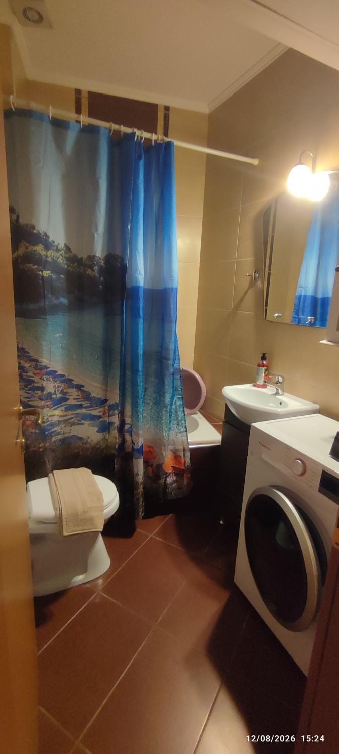 Toilet, Bathroom, towels, washing machine