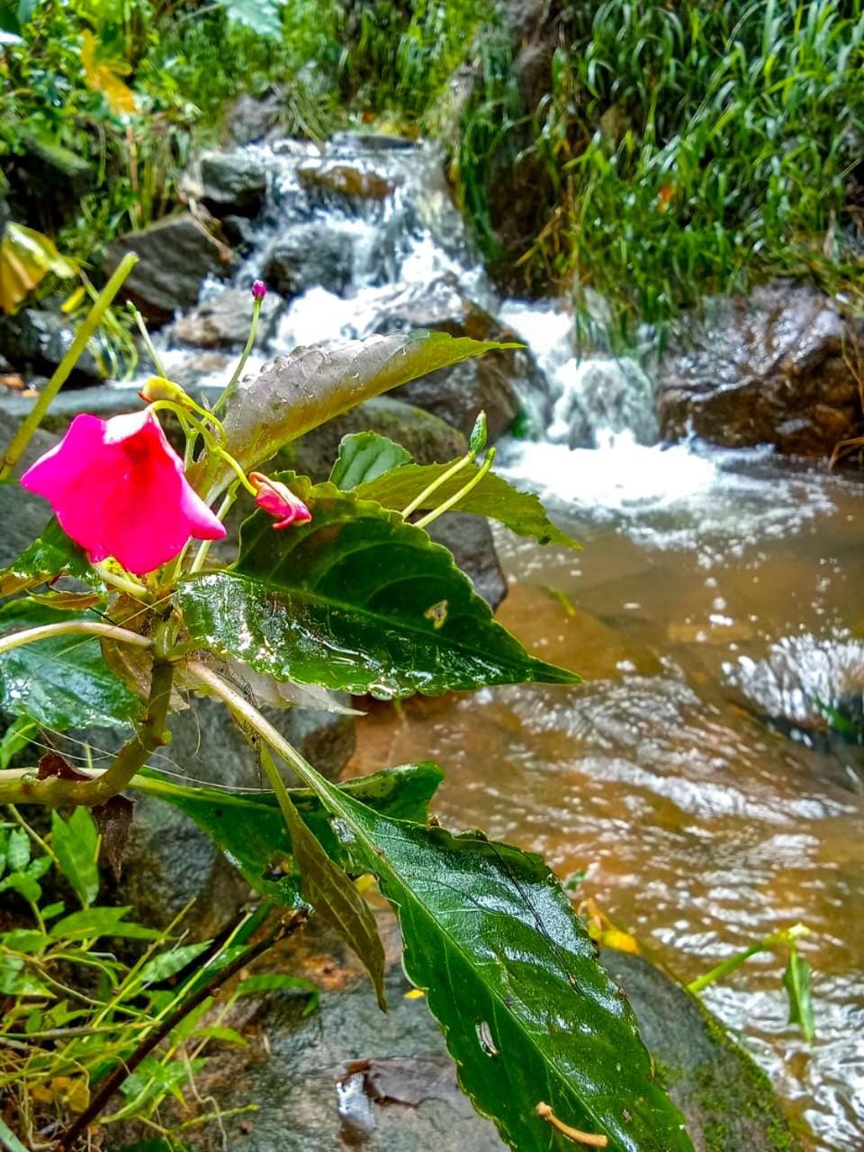 Natural landscape