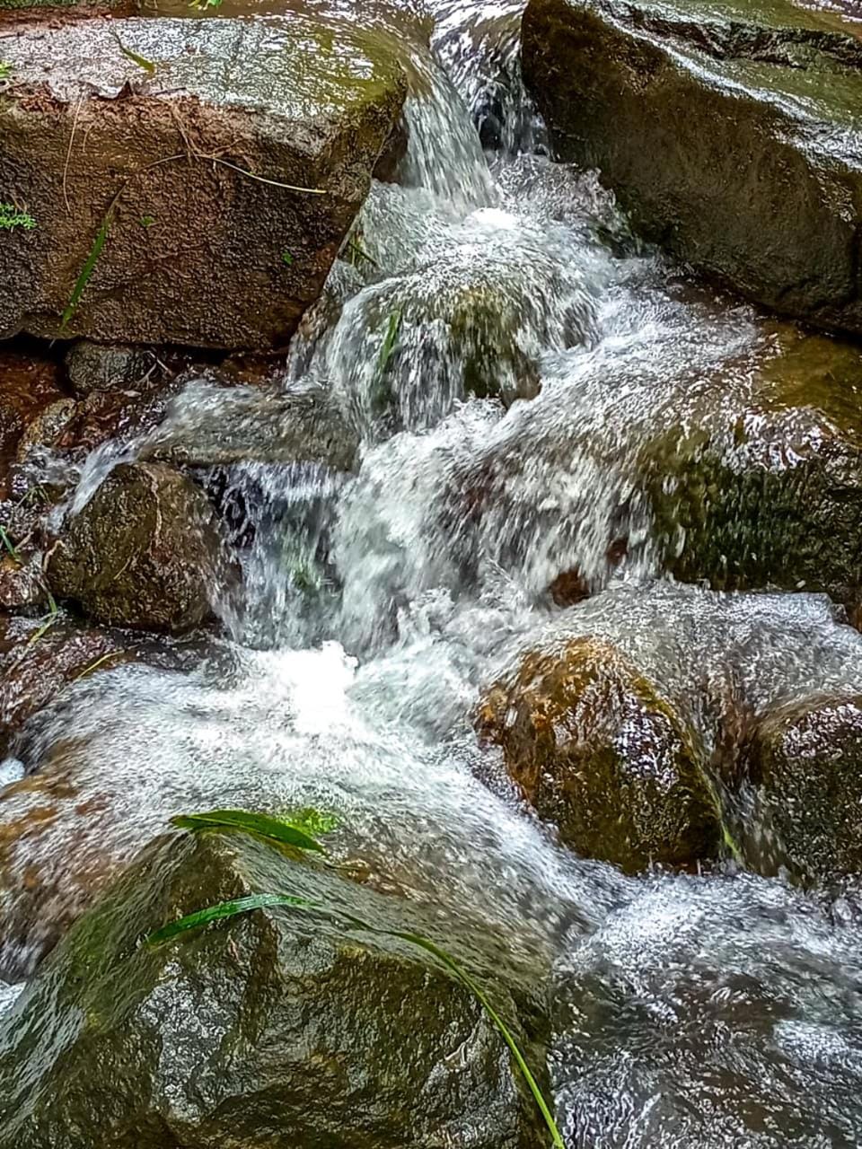 Natural landscape