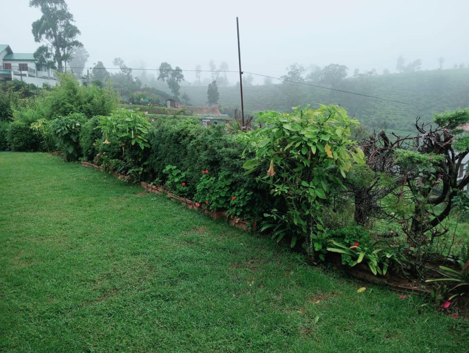 Natural landscape, Garden, Garden view
