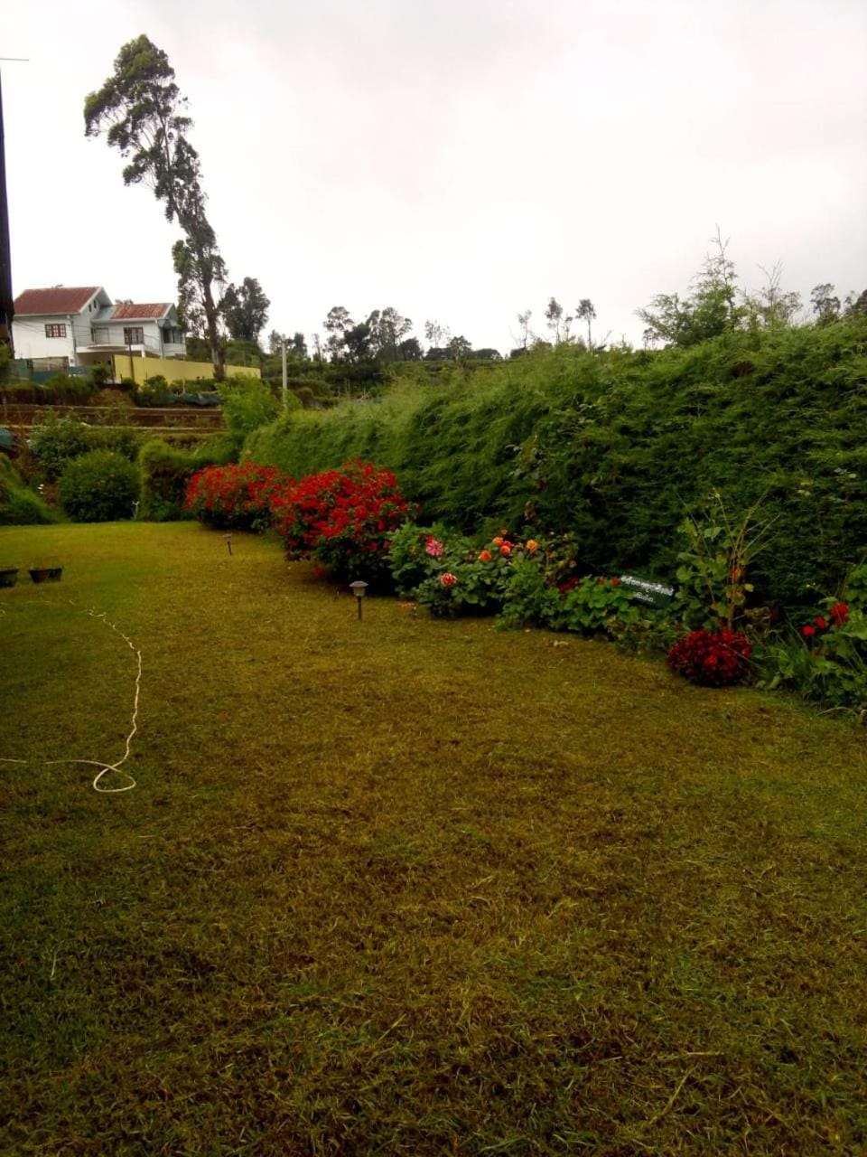 Natural landscape, Garden, Garden view
