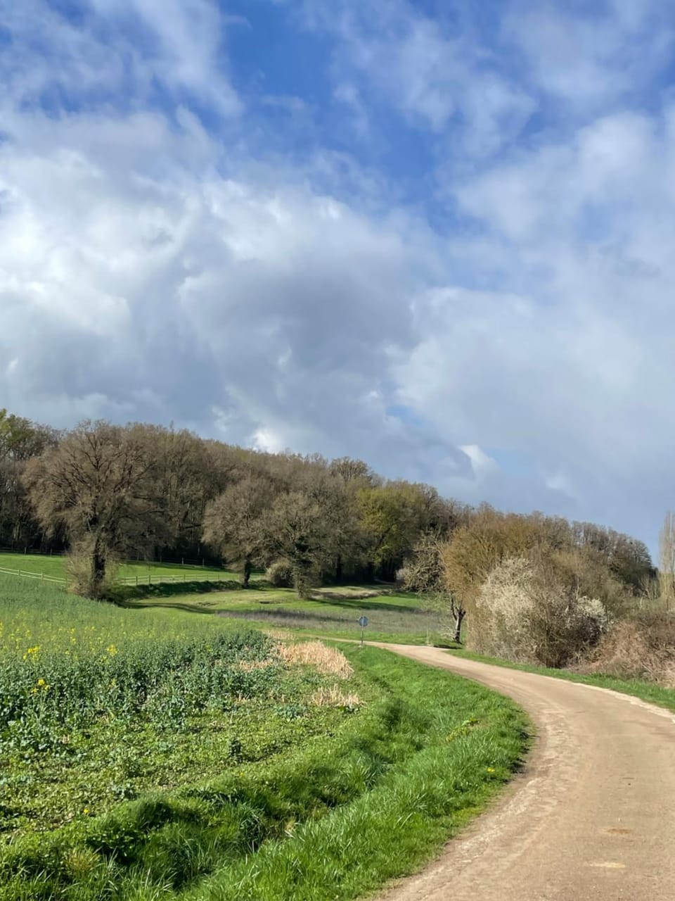 Natural landscape