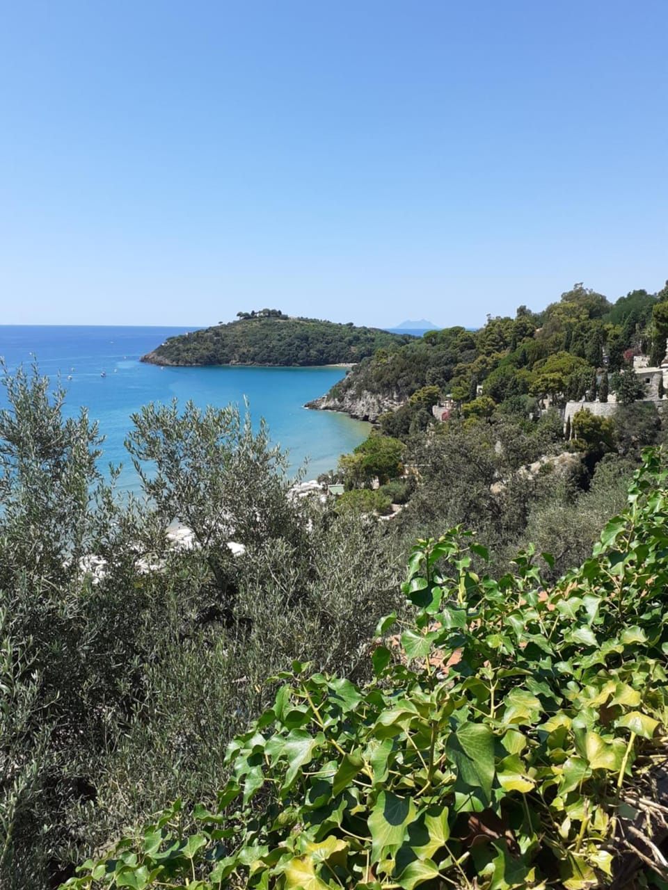 La Bouganville Apartment in Formia