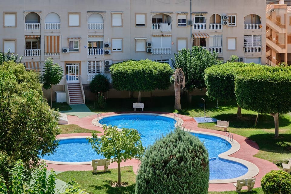 Garden, Pool view, Swimming pool