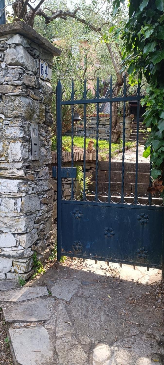 La Tigula House in Lavagna