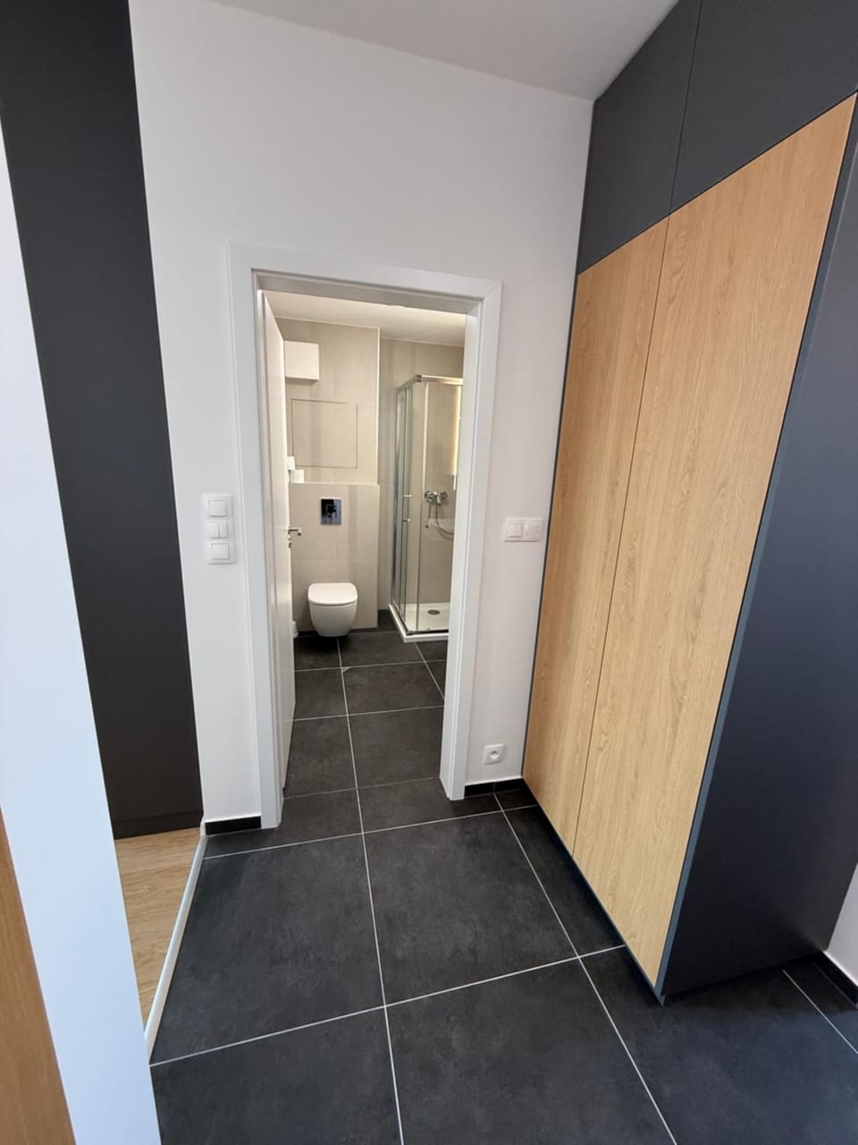 AH Laurin Dvor Apartment in Bratislava
