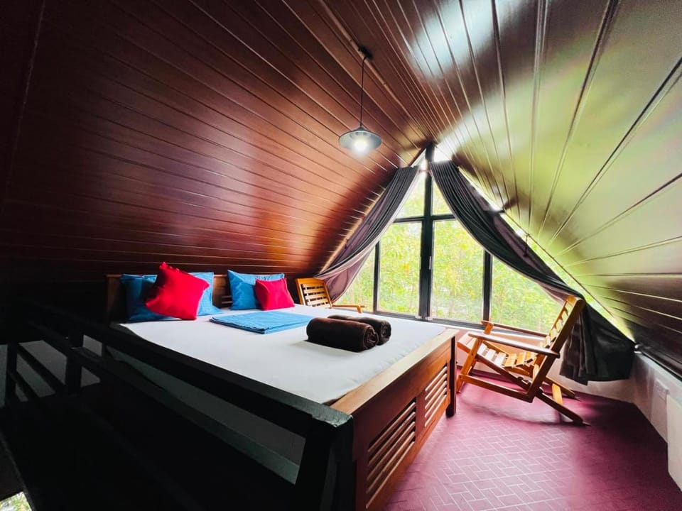 Bed, Photo of the whole room