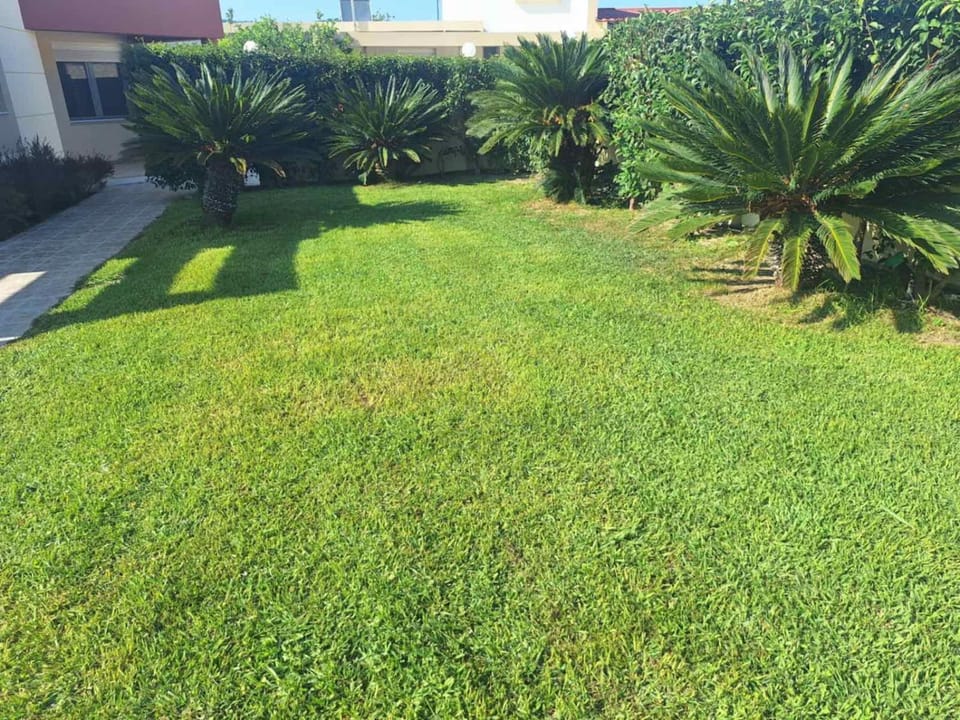 Natural landscape, Garden, Garden view