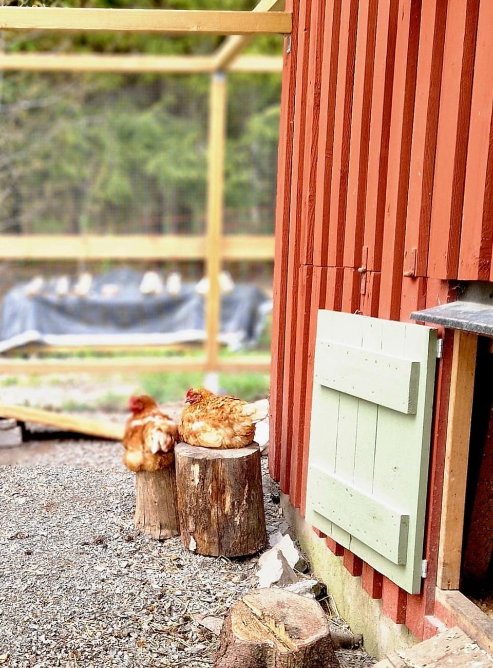Tiny house Lugnet - forest and microfarm stay Chalet in Västra Götaland County