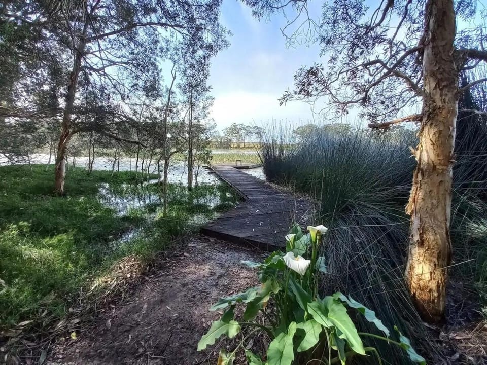 Lake Russell Lakeside Cottage Bed and Breakfast in Emerald Beach
