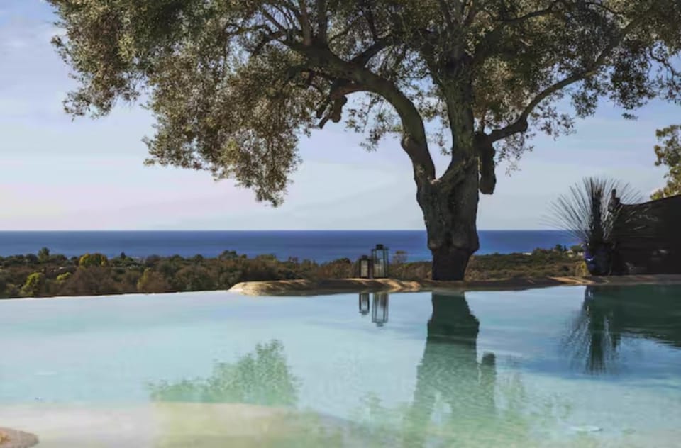 The Olive Grove Villa in Quartu Sant'Elena