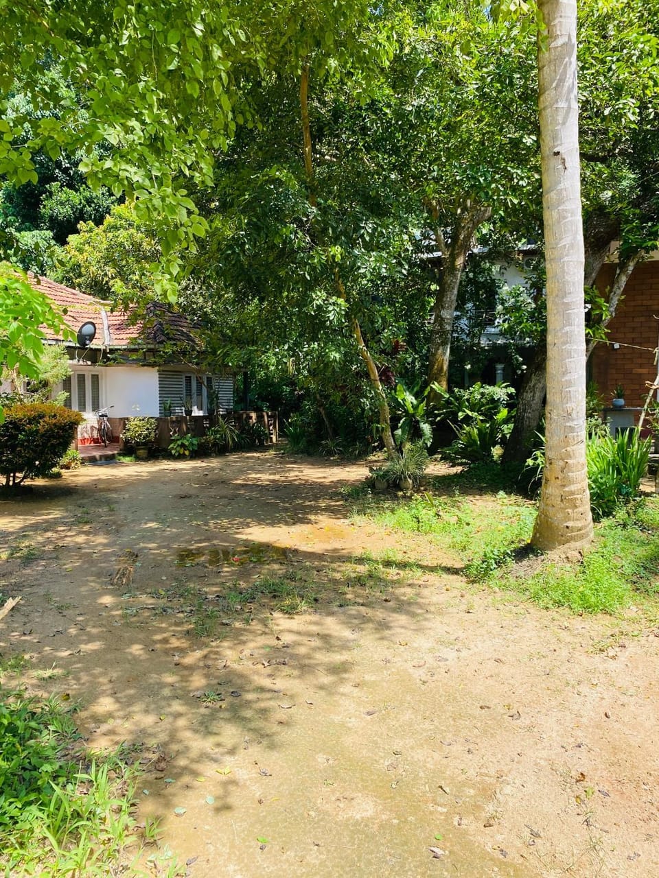 Garden view