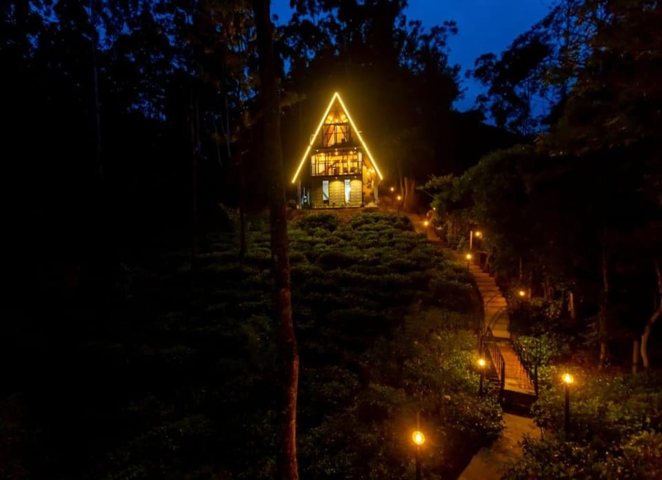 Night, Garden