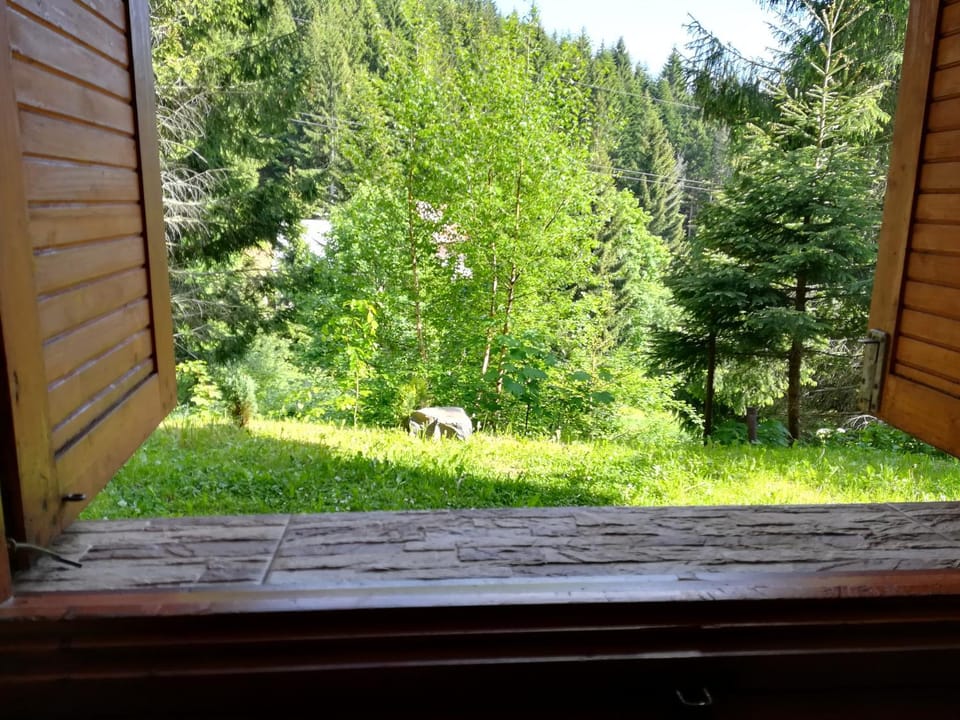 Chata Safran Nature lodge in Slovakia