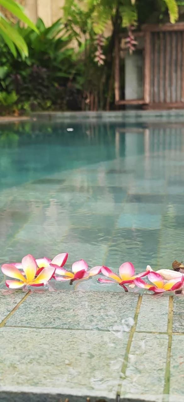 Spa and wellness centre/facilities, Swimming pool