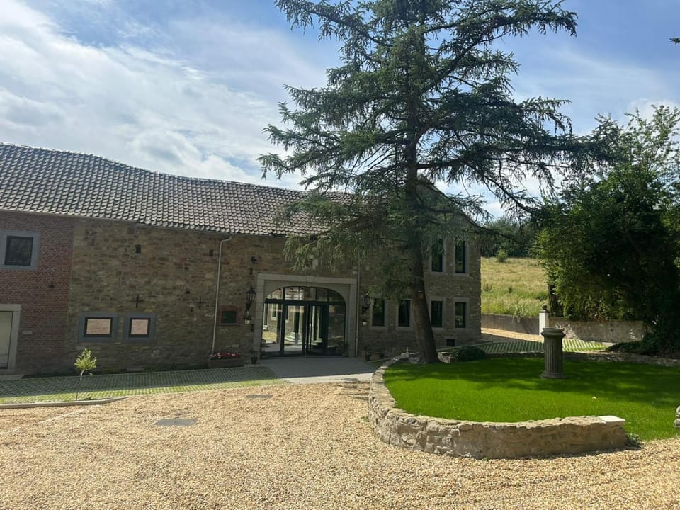 Property building, Garden, Garden view
