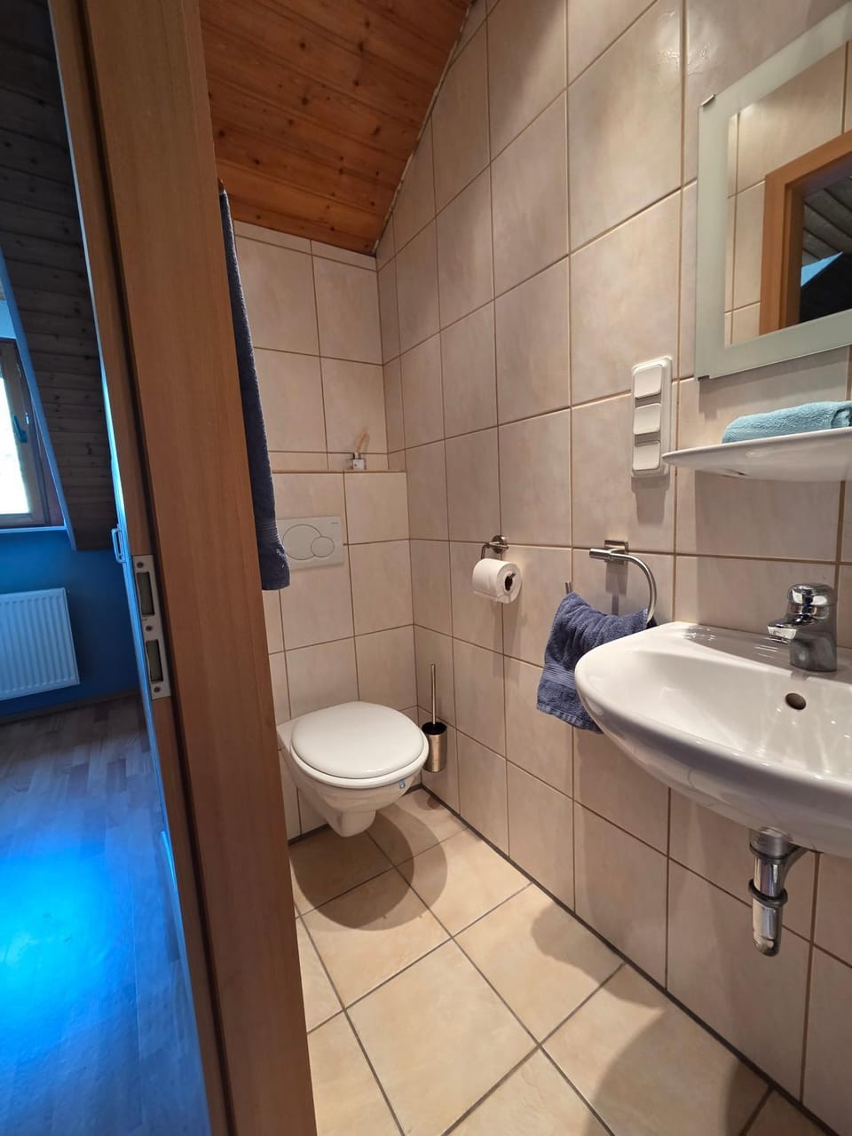 Bathroom, Living room