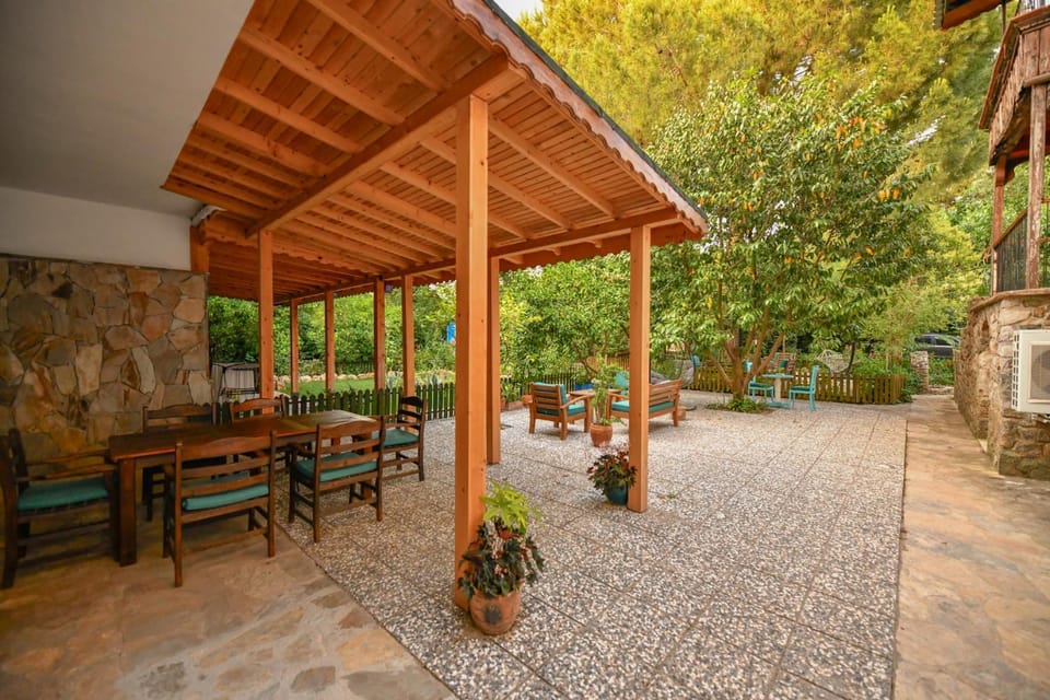 Patio, Garden, Garden view