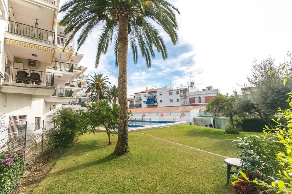 Garden, Swimming pool