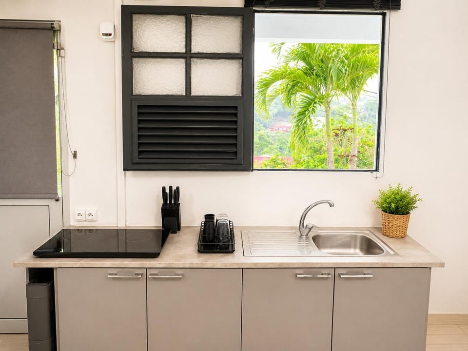 Kitchen or kitchenette, Garden view, kitchen