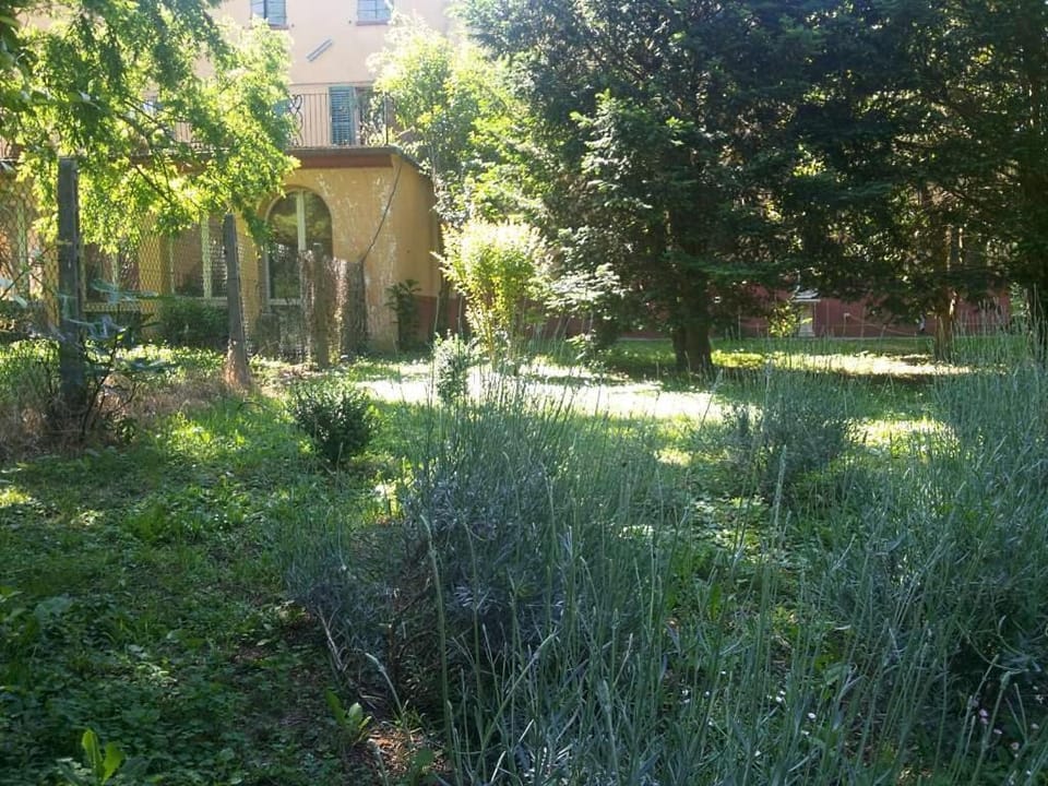 Garden, Garden view