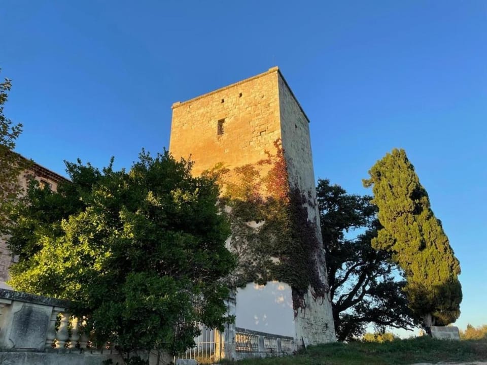 Mas de la Motte - Domaine en Camargue au bord du Petit Rhône House in Arles