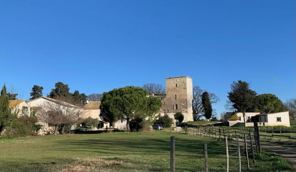 Mas de la Motte - Domaine en Camargue au bord du Petit Rhône House in Arles