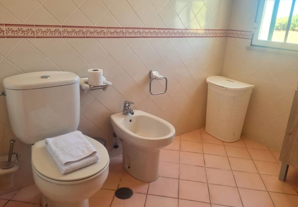 Toilet, Bathroom, bidet