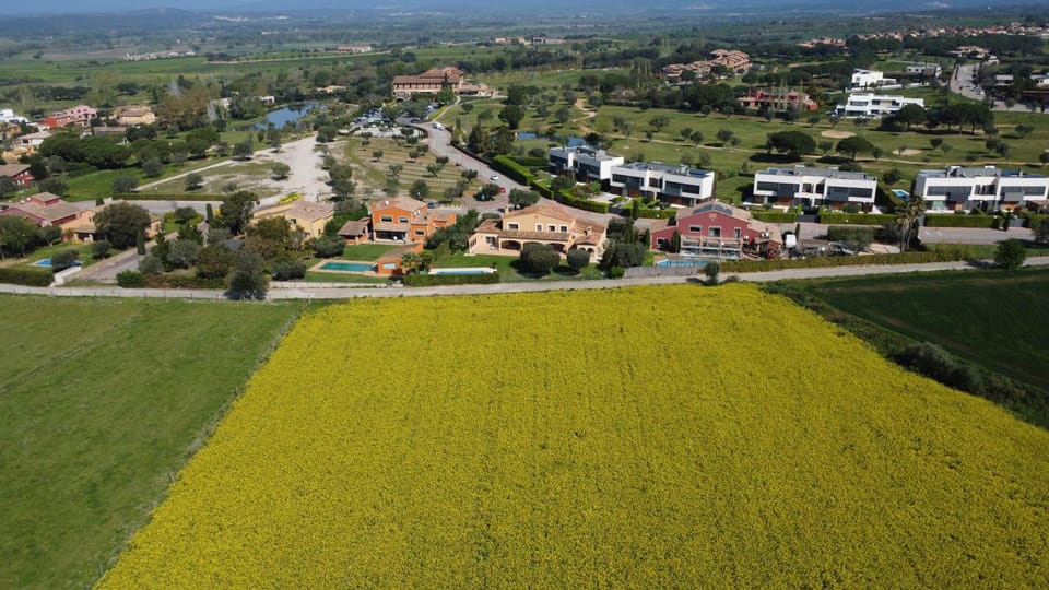 Spring, Bird's eye view, Golfcourse