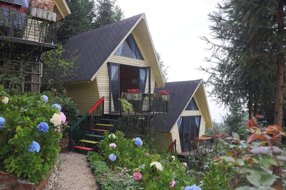 Property building, Day, Garden, Garden view