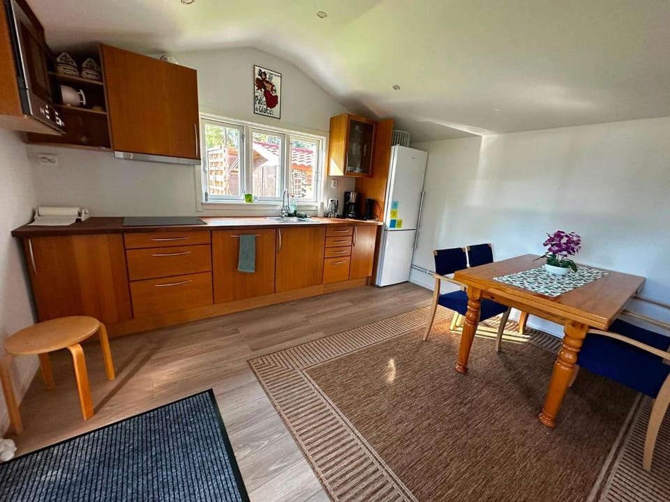 Kitchen or kitchenette, Dining area, stove