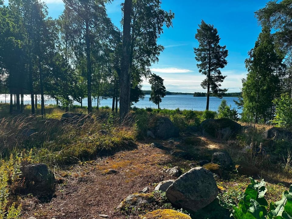 Lake view